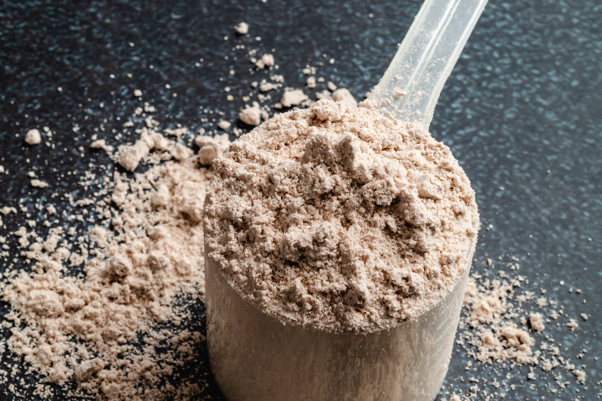 A clear plastic scoop filled with protein powder to hit your daily protein goals by the painless period clinic